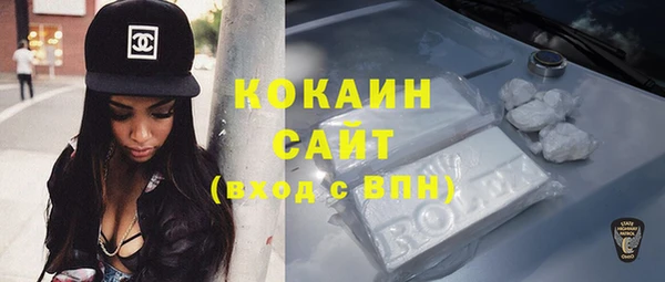 соль ск Абаза