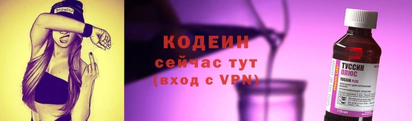 соль ск Абаза