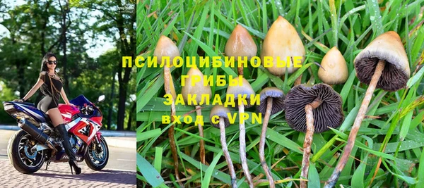 стафф Абдулино