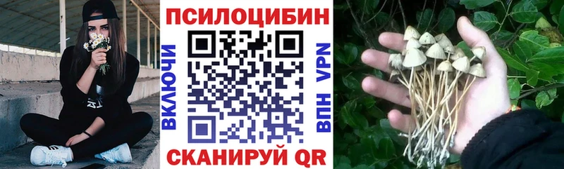 Галлюциногенные грибы мухоморы  сколько стоит  Иннополис 